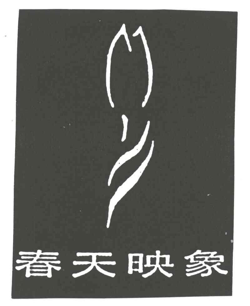 春天映象