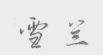 雪兰