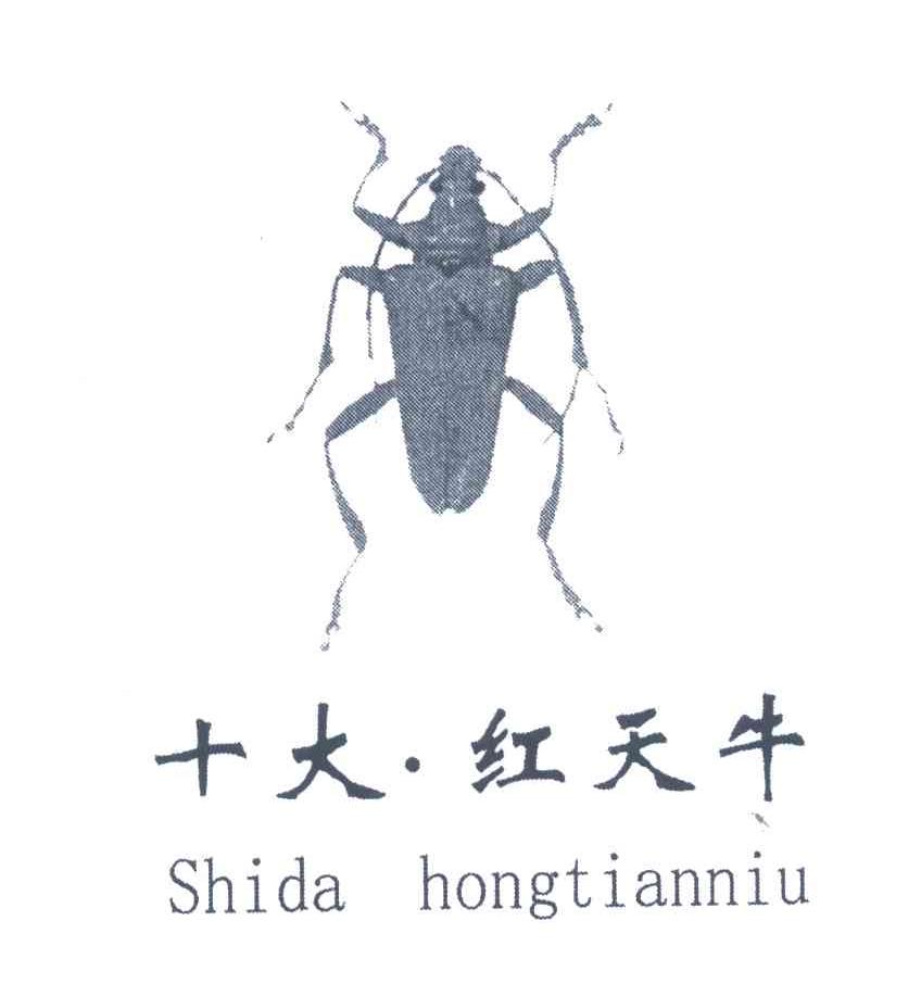 十大红天牛