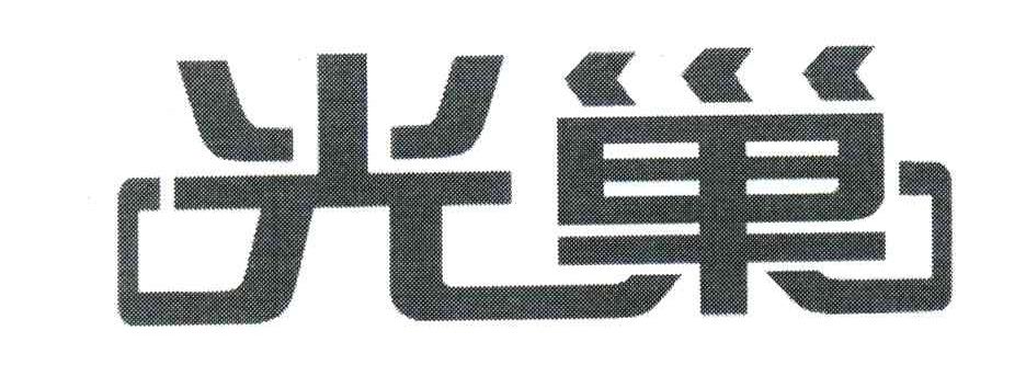 光巢