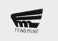 FENG MING