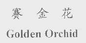 赛金花   GOLDEN ORCHID