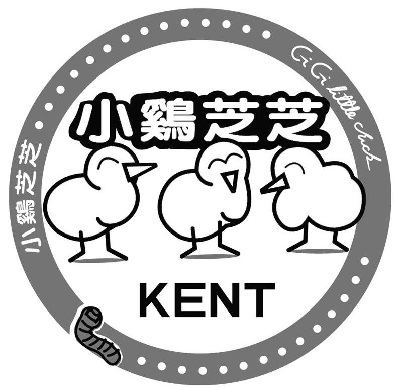 小鸡芝芝 LITTLE CHICK KENT