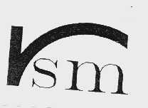 VSM