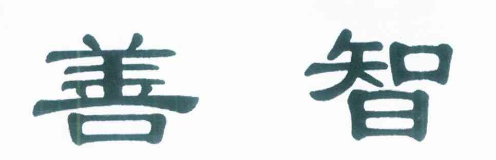 善智