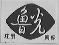 鲁光
