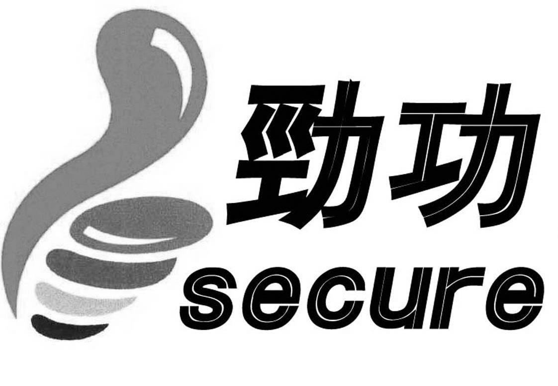 劲功 SECURE