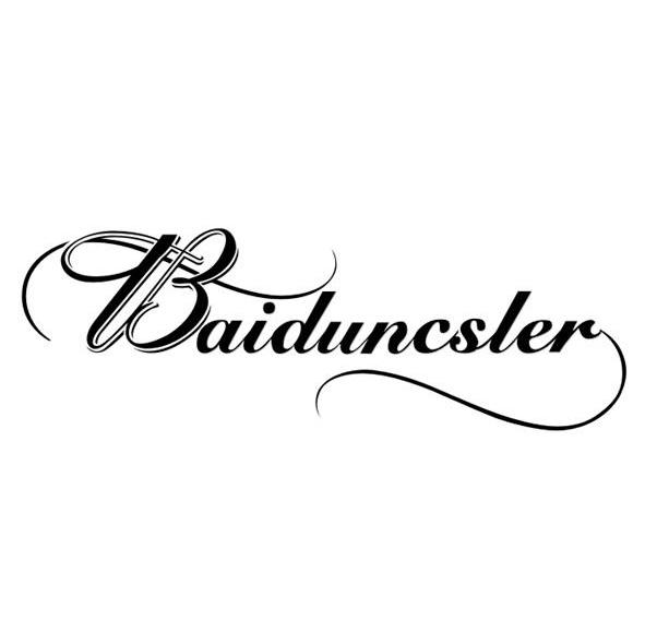 BAIDUNCSLER