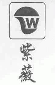紫薇