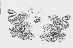 飞龙