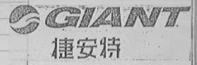 捷安特  GIANT