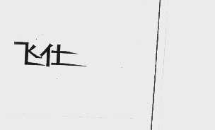 飞仕