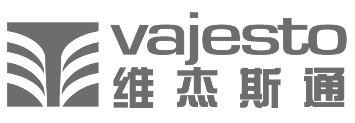 维杰斯通 VAJESTO