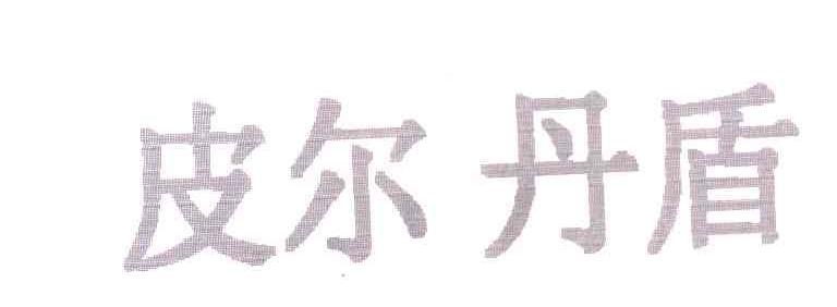 皮尔丹盾