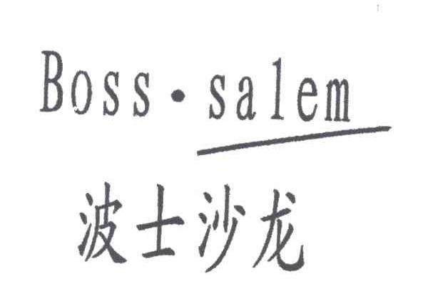波士沙龙;BOSS SALEM