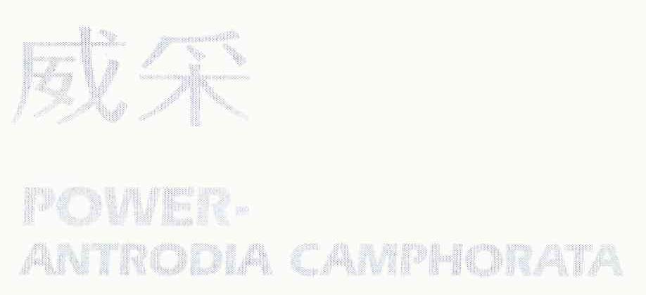 威采 POWER-ANTRODIA CAMPHORATA