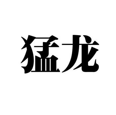 猛龙