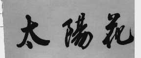 太阳花