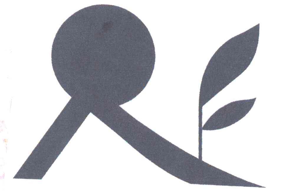图形