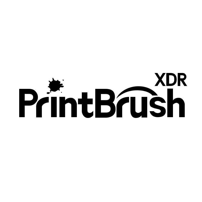 PRINTBRUSH XDR