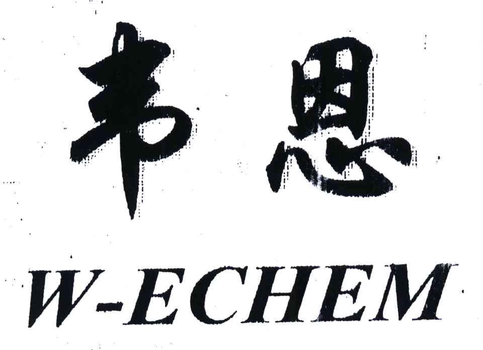 韦恩;W ECHEM