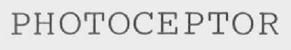 PHOTOCEPTOR
