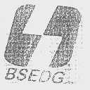 BSEDG