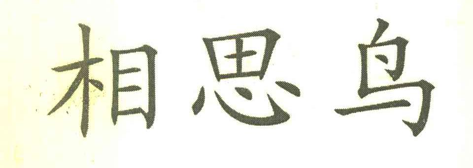 相思鸟