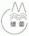 绿蕾