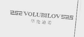 华伦迪诺   VOLUBILOV
