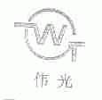 伟光