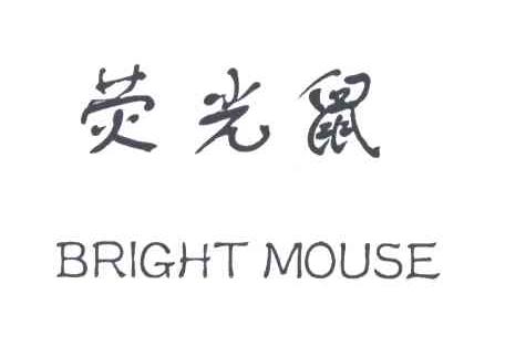 荧光鼠;BRIGHT MOUSE