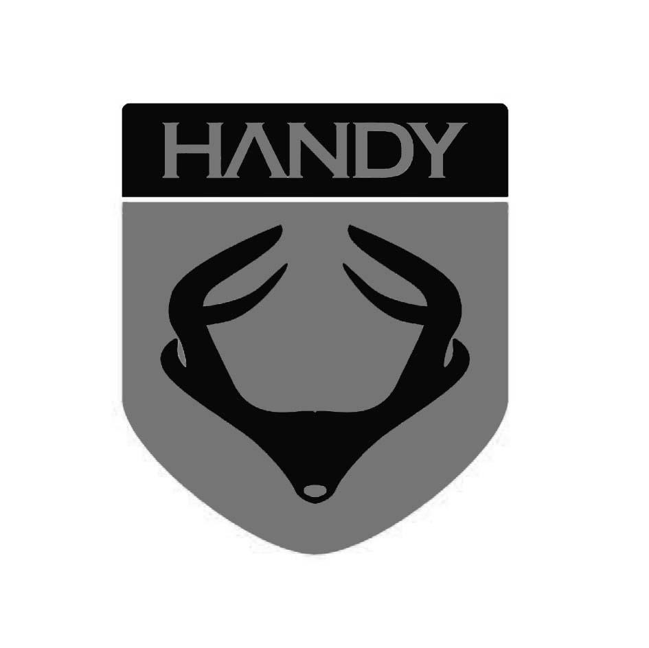 HANDY