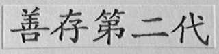 善存第二代