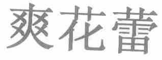爽花蕾