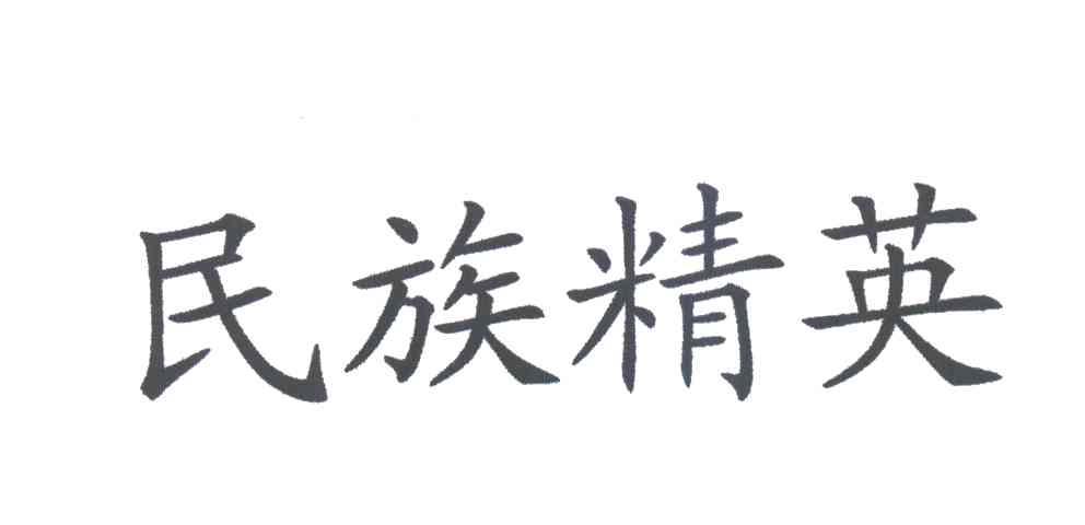 民族精英