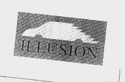 ILLUSION