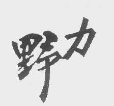野力