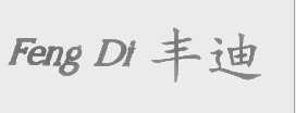 丰迪