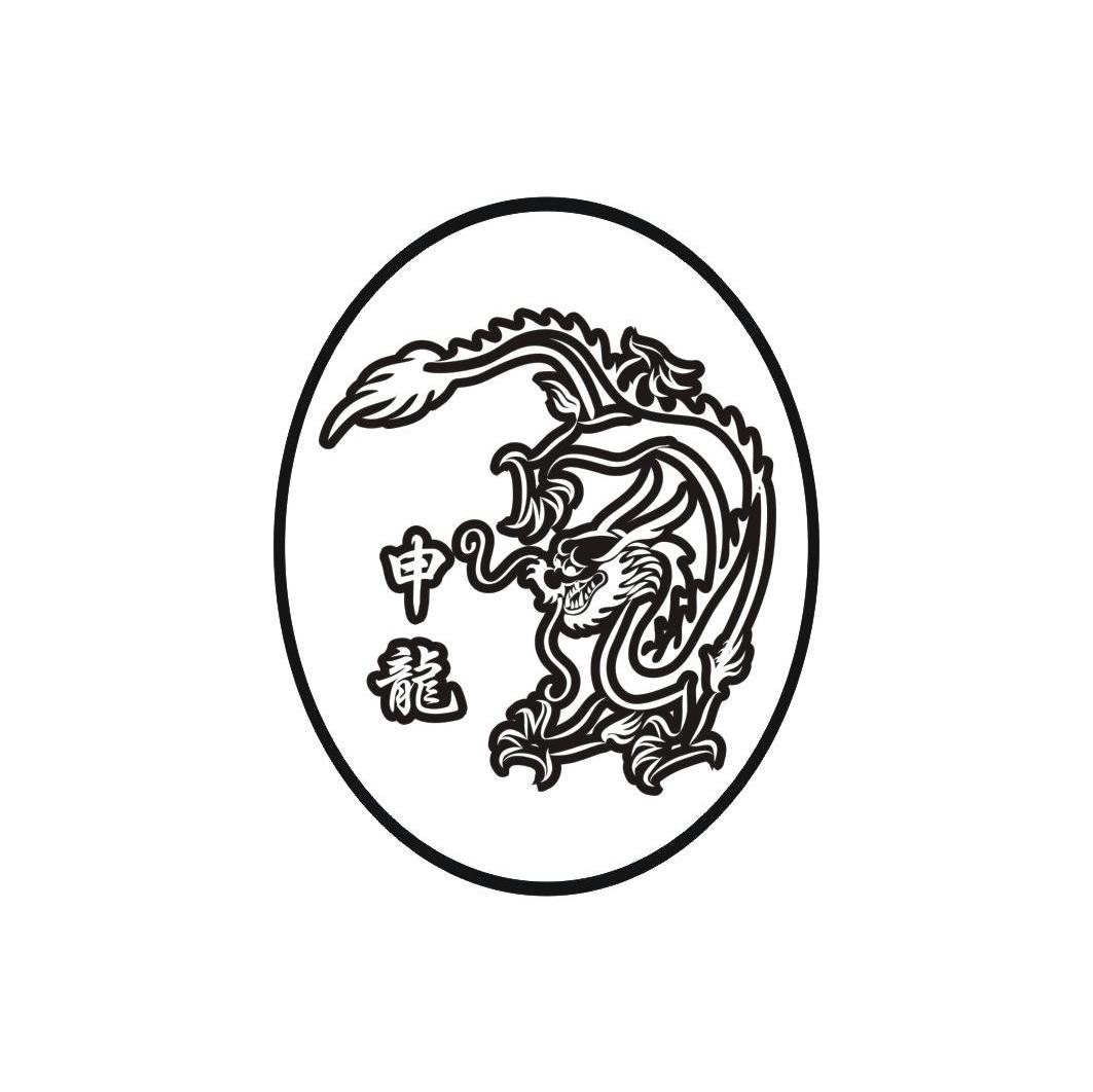 申龙