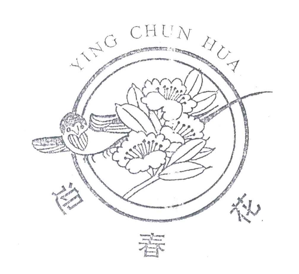 迎春花