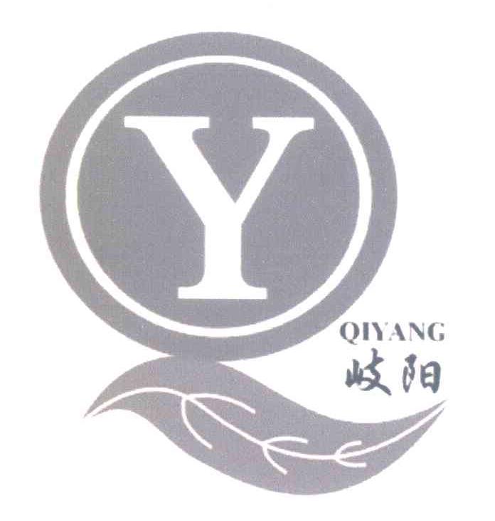 岐阳 QY