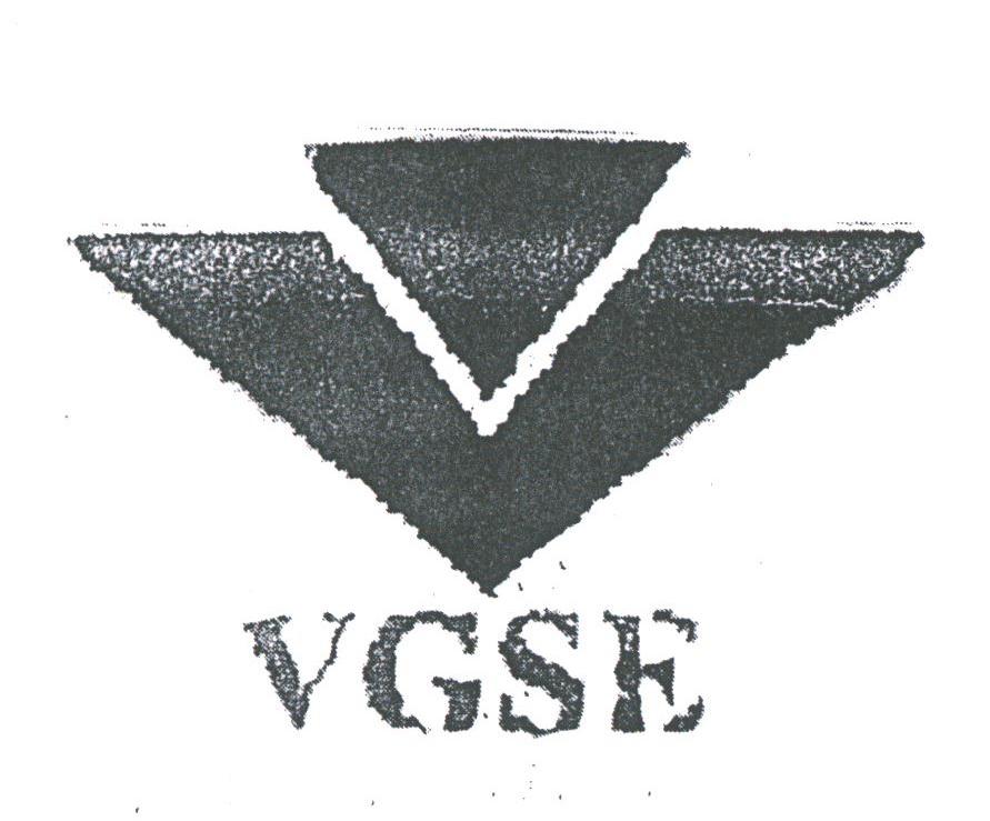 VGSE