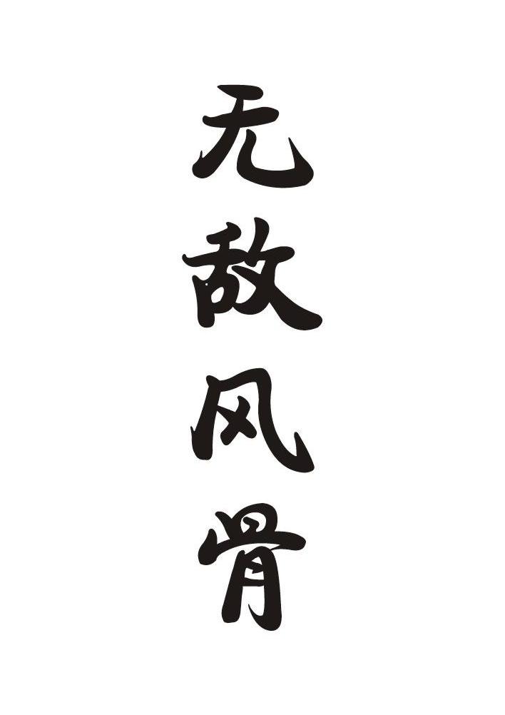 无敌风骨