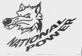 NATIONAL POWER