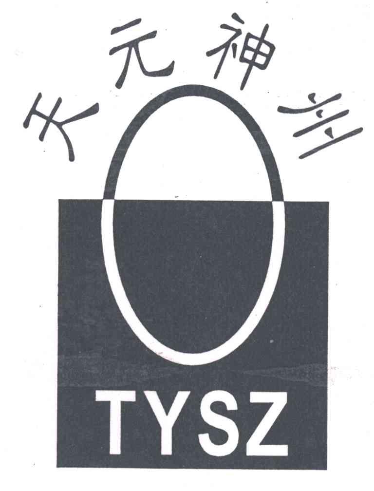 天元神州TYSZ