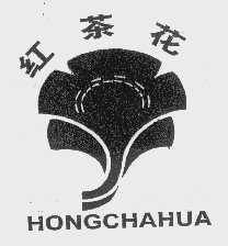 红茶花