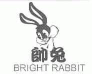帅兔;BRIGHT RABBIT