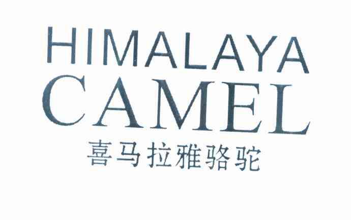 喜马拉雅骆驼 HIMALAYA CAMEL