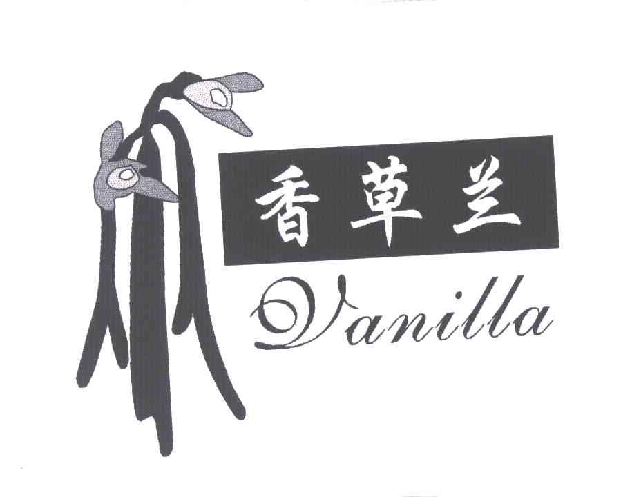 香草兰;VANILLA